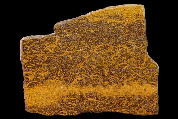 Polished Miriam Stone Slab - India #167765